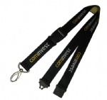 Lanyard