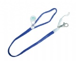 Lanyard