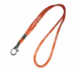 Lanyard