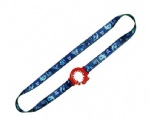 Lanyard